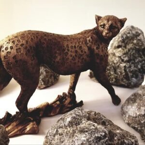 leopard