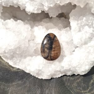 Kiastoliit e. ristikivi auguga