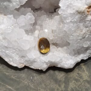 tiigrisilm auguga