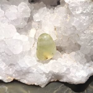 preniit auguga