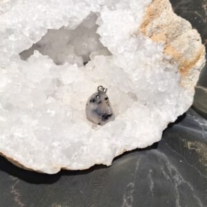 dendriitahhaat ripats